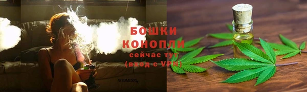 крисы Вяземский