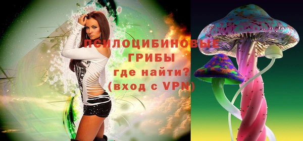 первитин Нея