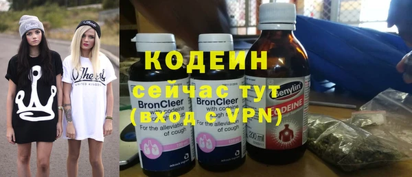 прущий лед Новозыбков